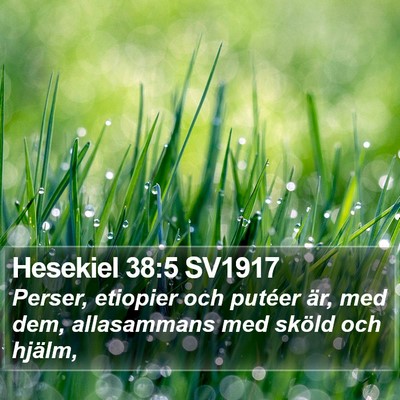 Hesekiel 38:5 SV1917 Bible Verse Image