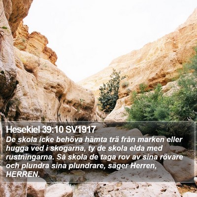 Hesekiel 39:10 SV1917 Bible Verse Image