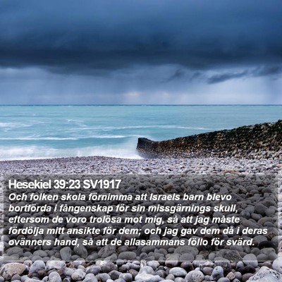 Hesekiel 39:23 SV1917 Bible Verse Image