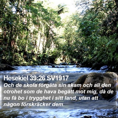 Hesekiel 39:26 SV1917 Bible Verse Image