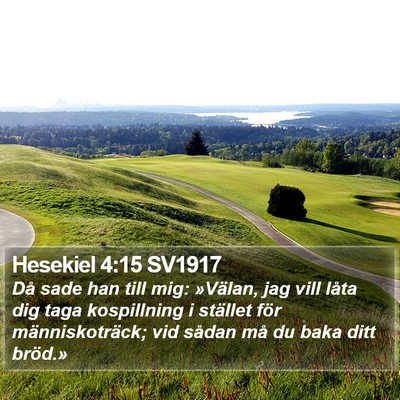Hesekiel 4:15 SV1917 Bible Verse Image