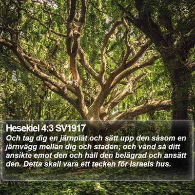 Hesekiel 4:3 SV1917 Bible Verse Image