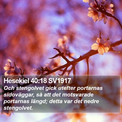 Hesekiel 40:18 SV1917 Bible Verse Image