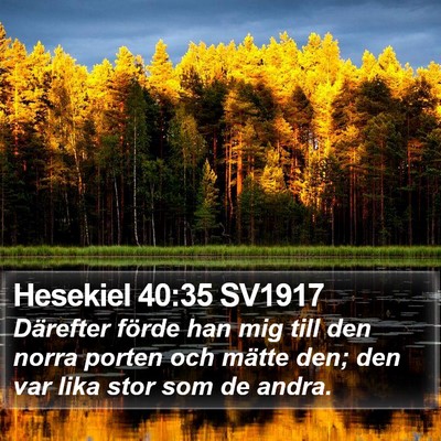 Hesekiel 40:35 SV1917 Bible Verse Image