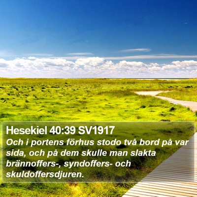 Hesekiel 40:39 SV1917 Bible Verse Image