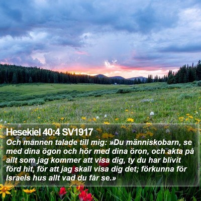 Hesekiel 40:4 SV1917 Bible Verse Image