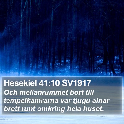 Hesekiel 41:10 SV1917 Bible Verse Image