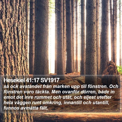 Hesekiel 41:17 SV1917 Bible Verse Image