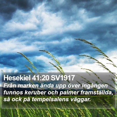 Hesekiel 41:20 SV1917 Bible Verse Image