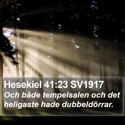 Hesekiel 41:23 SV1917 Bible Verse Image