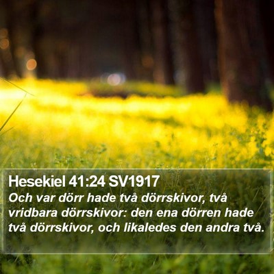 Hesekiel 41:24 SV1917 Bible Verse Image