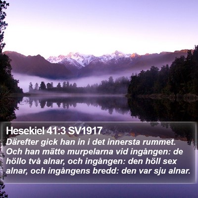 Hesekiel 41:3 SV1917 Bible Verse Image