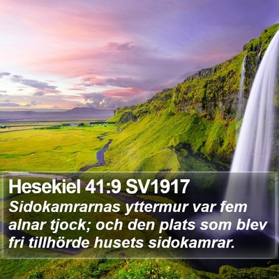 Hesekiel 41:9 SV1917 Bible Verse Image