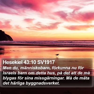 Hesekiel 43:10 SV1917 Bible Verse Image