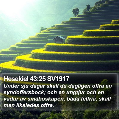Hesekiel 43:25 SV1917 Bible Verse Image
