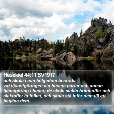 Hesekiel 44:11 SV1917 Bible Verse Image