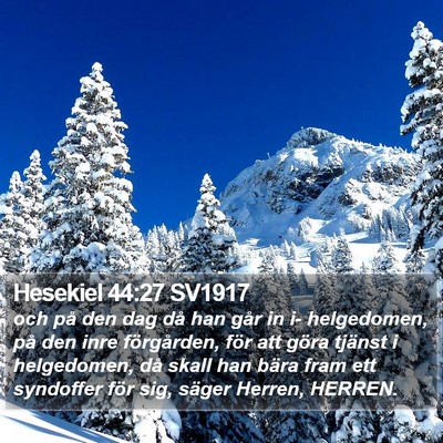 Hesekiel 44:27 SV1917 Bible Verse Image
