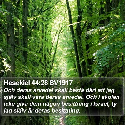 Hesekiel 44:28 SV1917 Bible Verse Image