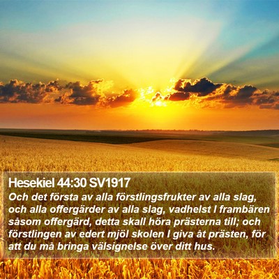 Hesekiel 44:30 SV1917 Bible Verse Image