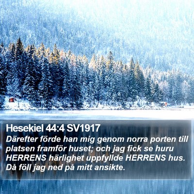 Hesekiel 44:4 SV1917 Bible Verse Image