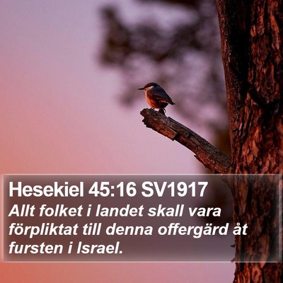 Hesekiel 45:16 SV1917 Bible Verse Image