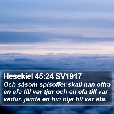 Hesekiel 45:24 SV1917 Bible Verse Image
