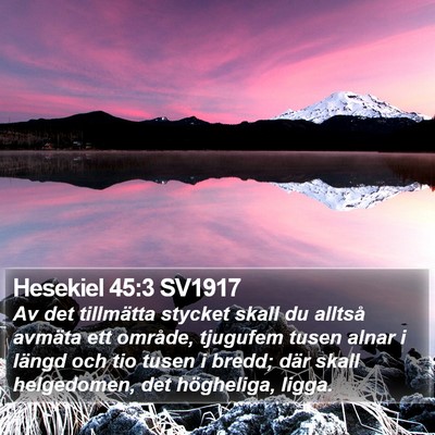 Hesekiel 45:3 SV1917 Bible Verse Image