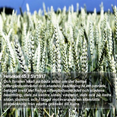 Hesekiel 45:7 SV1917 Bible Verse Image