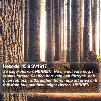 Hesekiel 45:9 SV1917 Bible Verse Image