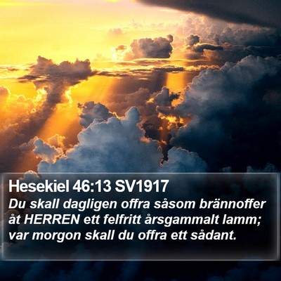Hesekiel 46:13 SV1917 Bible Verse Image