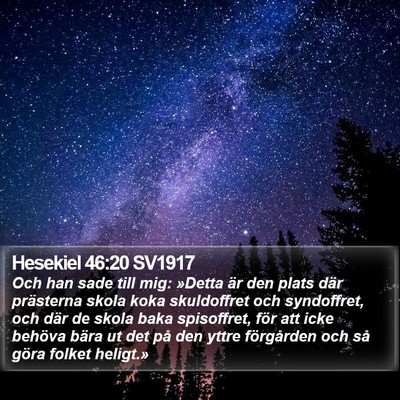 Hesekiel 46:20 SV1917 Bible Verse Image