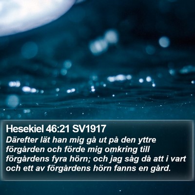Hesekiel 46:21 SV1917 Bible Verse Image