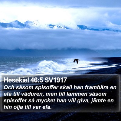 Hesekiel 46:5 SV1917 Bible Verse Image