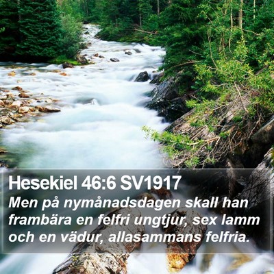 Hesekiel 46:6 SV1917 Bible Verse Image