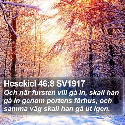 Hesekiel 46:8 SV1917 Bible Verse Image