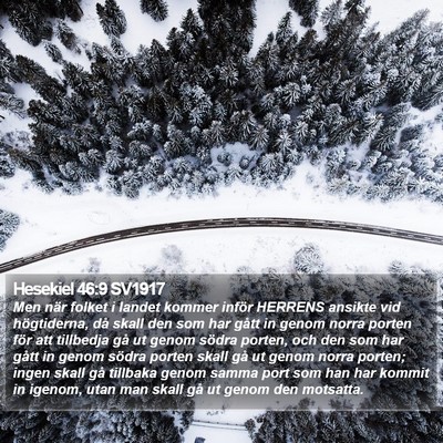 Hesekiel 46:9 SV1917 Bible Verse Image