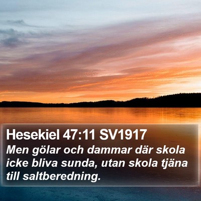 Hesekiel 47:11 SV1917 Bible Verse Image