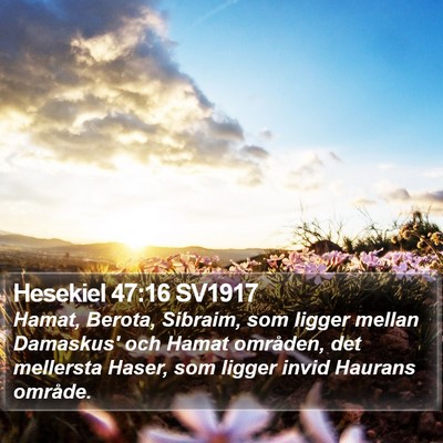 Hesekiel 47:16 SV1917 Bible Verse Image