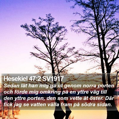 Hesekiel 47:2 SV1917 Bible Verse Image