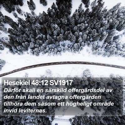 Hesekiel 48:12 SV1917 Bible Verse Image