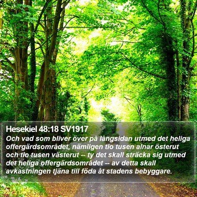 Hesekiel 48:18 SV1917 Bible Verse Image