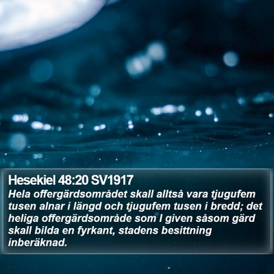 Hesekiel 48:20 SV1917 Bible Verse Image