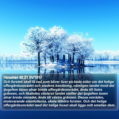 Hesekiel 48:21 SV1917 Bible Verse Image