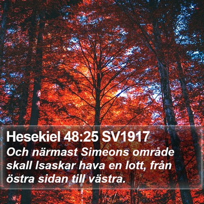 Hesekiel 48:25 SV1917 Bible Verse Image