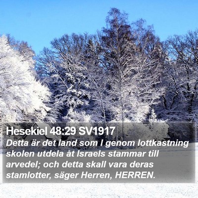 Hesekiel 48:29 SV1917 Bible Verse Image