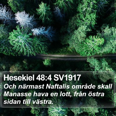 Hesekiel 48:4 SV1917 Bible Verse Image