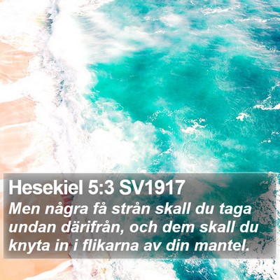 Hesekiel 5:3 SV1917 Bible Verse Image