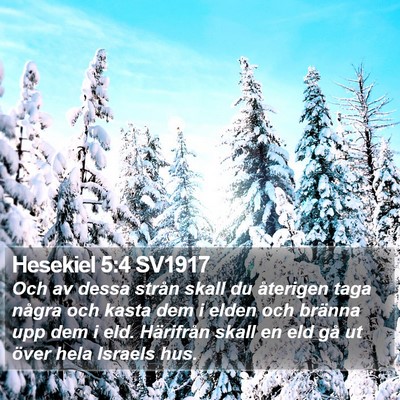 Hesekiel 5:4 SV1917 Bible Verse Image