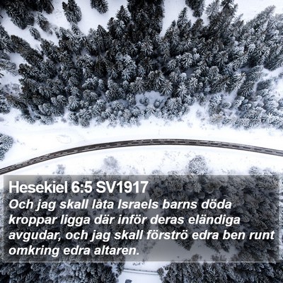 Hesekiel 6:5 SV1917 Bible Verse Image