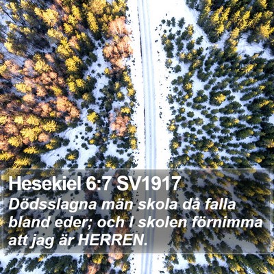Hesekiel 6:7 SV1917 Bible Verse Image